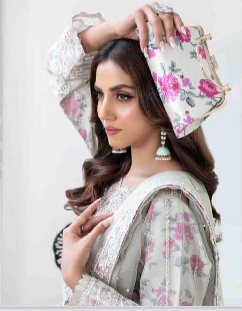 MAH-E-MEER New Fancy Organza by Shahid Tawakkal